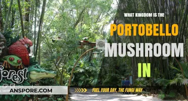 Portobello Mushrooms: Unveiling Their Kingdom Classification and Culinary Uses