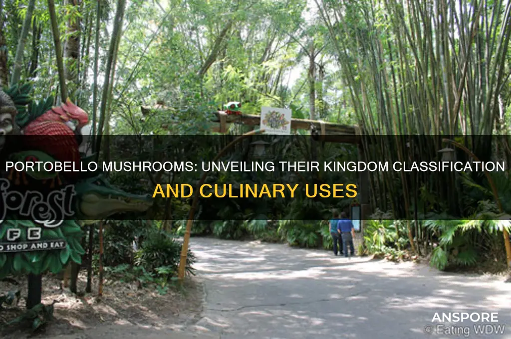 what kingdom is the portobello mushroom in