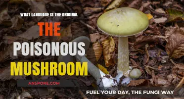 Unveiling the Original Language of 'The Poisonous Mushroom' Text