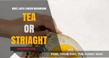 Mushroom Tea vs. Straight: Which Lasts Longer in Your System?