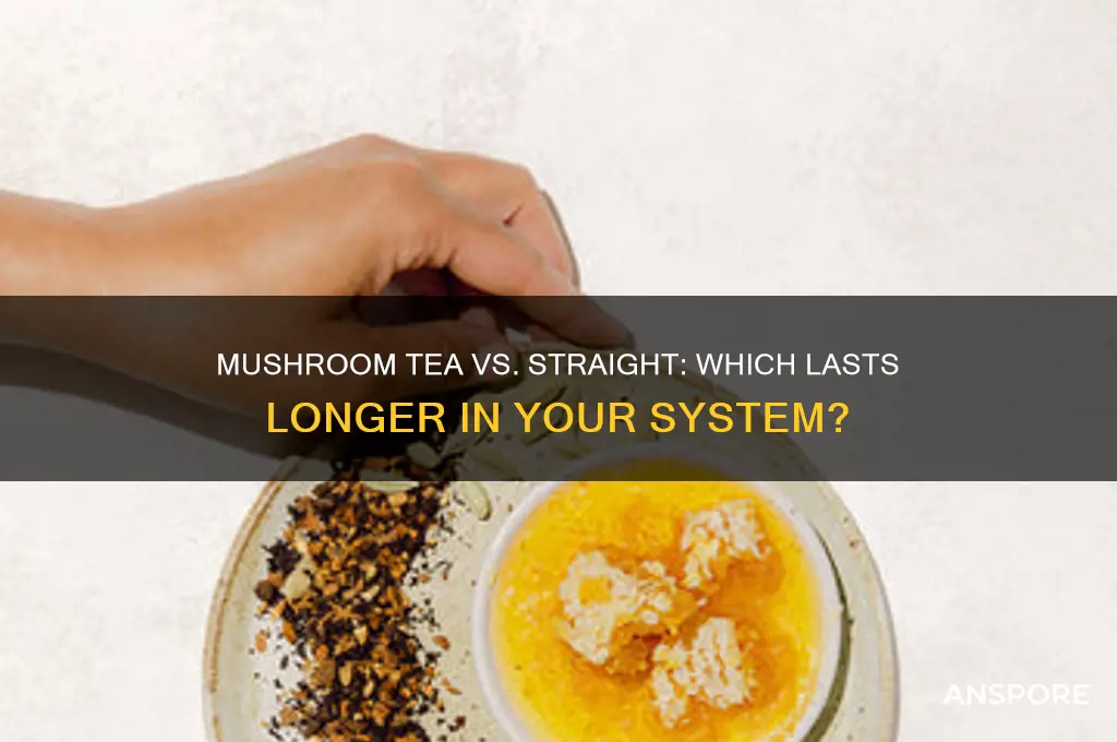 what lasts longer mushroom tea or striaght