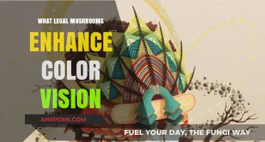 Legal Mushrooms That Enhance Color Vision: A Natural Boost