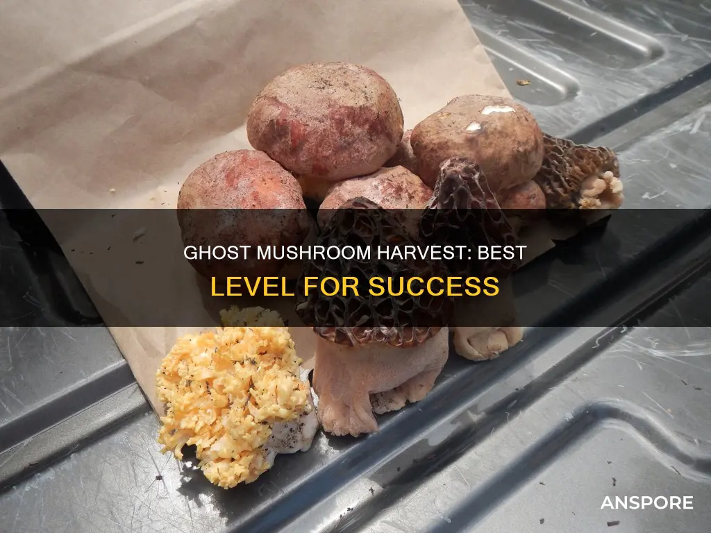 what level harvest ghost mushroom