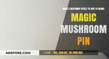 Optimal Lightning Cycle for Magic Mushroom Pinning Success