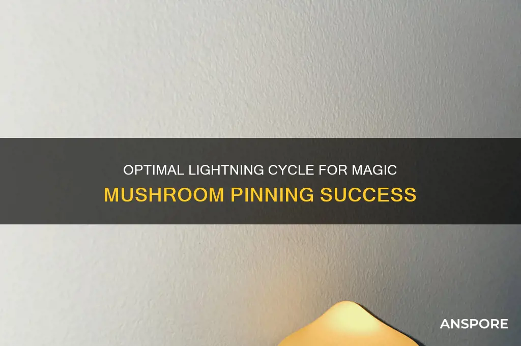 what lightning cycle to use to make magic mushrooms pin