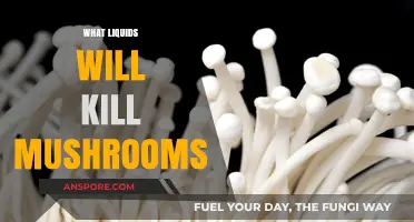 Liquids to Kill Mushrooms: Effective Solutions Revealed