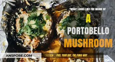 Exploring the Unique Interior Structure of a Portobello Mushroom
