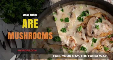 Mushrooms: Nature's Little Macros