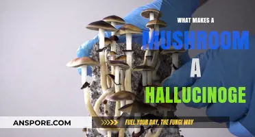 Unveiling the Psychedelic Secrets: What Makes Mushrooms Hallucinogenic?