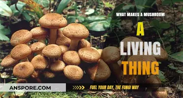 Mushrooms: Unveiling Their Living Nature and Biological Secrets