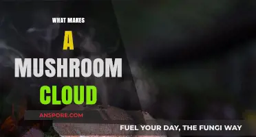 Unveiling the Science Behind Mushroom Clouds: Formation and Impact