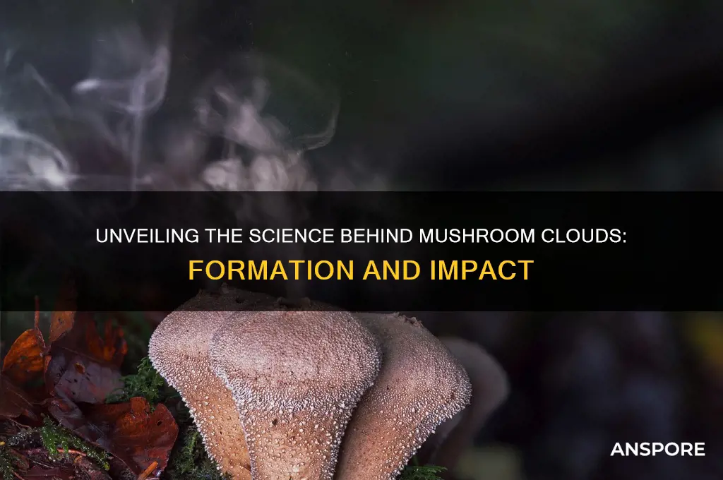 what makes a mushroom cloud