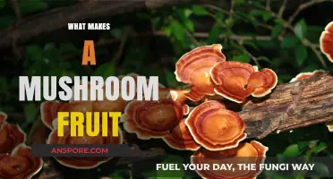 Unveiling the Secrets: What Triggers Mushroom Fruiting Bodies to Form