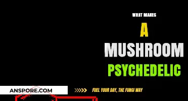 Unveiling the Mystical Chemistry Behind Psychedelic Mushrooms' Mind-Altering Effects