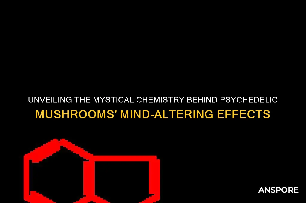 what makes a mushroom psychedelic