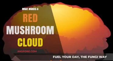 Unveiling the Science Behind Red Mushroom Clouds: Causes and Implications