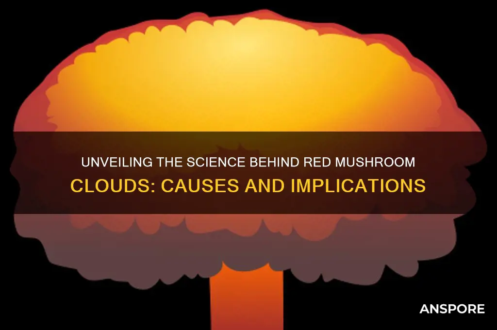 what makes a red mushroom cloud