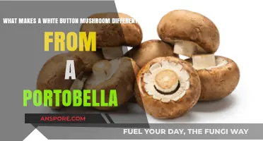 White Button vs. Portobello: Unveiling the Mushroom Transformation Journey