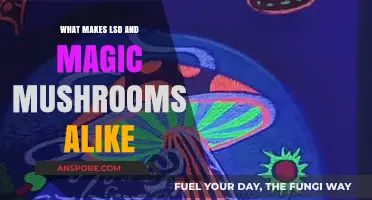 LSD vs. Magic Mushrooms: Shared Psychedelic Effects and Origins