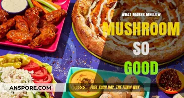 Why Mellow Mushroom's Unique Pizza Experience Stands Out
