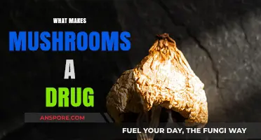 Exploring Mushrooms: Their Psychoactive Properties and Drug Classification
