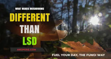 Mushrooms vs. LSD: Key Differences in Effects, Chemistry, and Experience