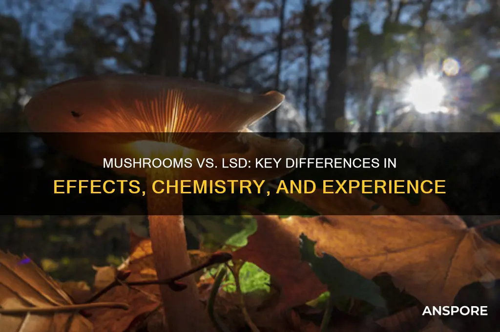 what makes mushrooms different than lsd