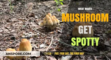 Why Mushrooms Develop Spots: Uncovering the Causes Behind Spotty Fungi