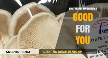 Mushrooms: Nature's Nutrient-Packed Superfood for Health and Wellness