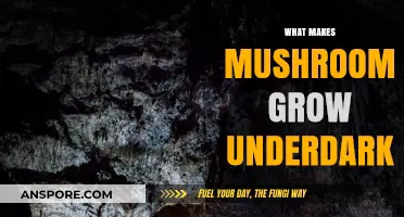 Unveiling the Secrets: How Mushrooms Thrive in the Underdark