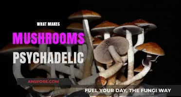 Unveiling the Psychedelic Power: Exploring Mushrooms' Mind-Altering Compounds