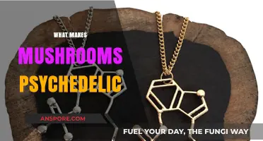 Unveiling the Mystical Chemistry Behind Psychedelic Mushrooms' Mind-Altering Effects