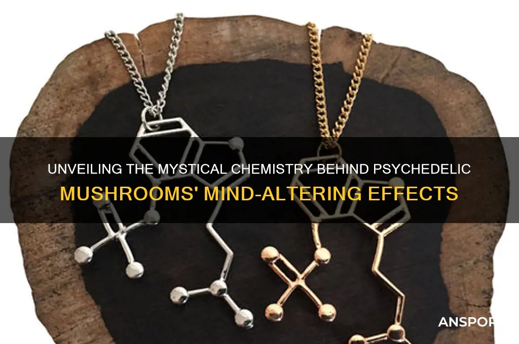 what makes mushrooms psychedelic