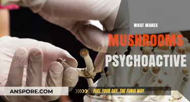 Unveiling the Psychedelic Secrets: What Makes Mushrooms Psychoactive?