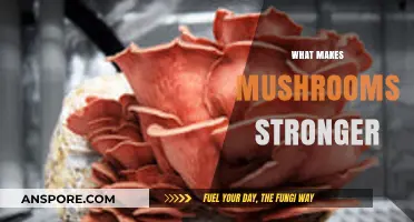 Unveiling the Secrets: What Makes Mushrooms Stronger and More Resilient