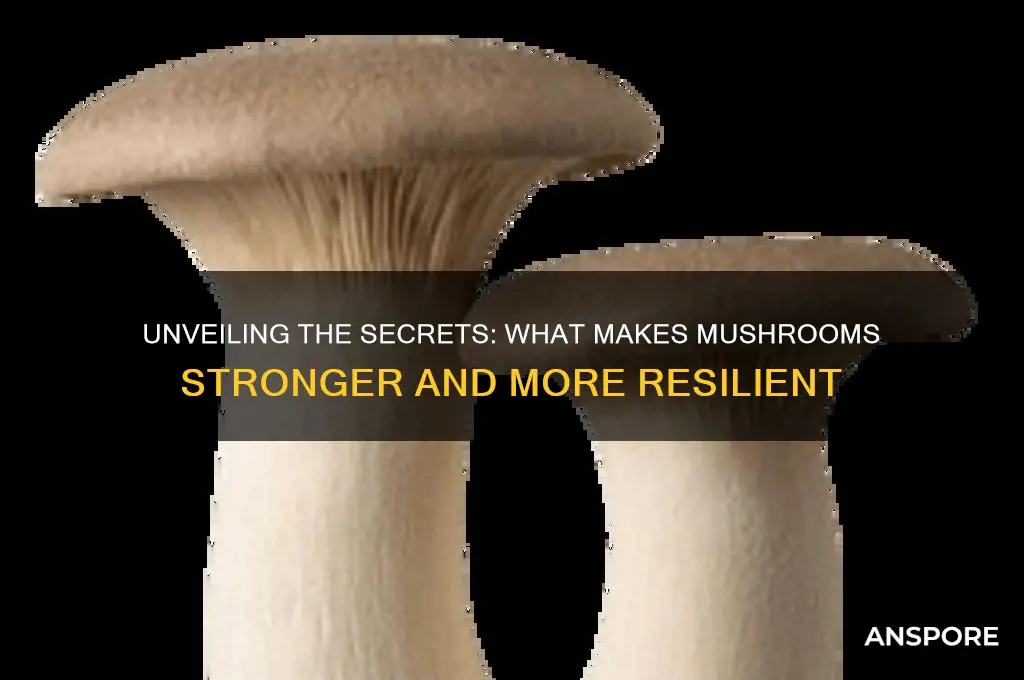 what makes mushrooms stronger