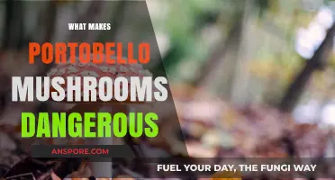 Hidden Risks: Why Portobello Mushrooms Can Be Harmful to Health
