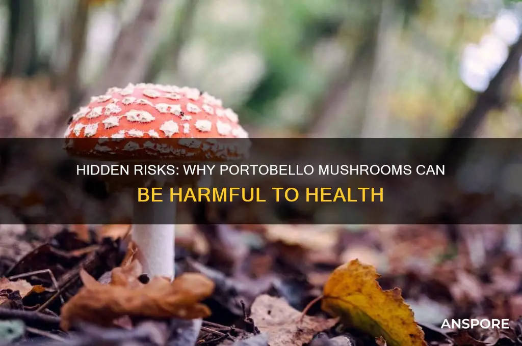 what makes portobello mushrooms dangerous