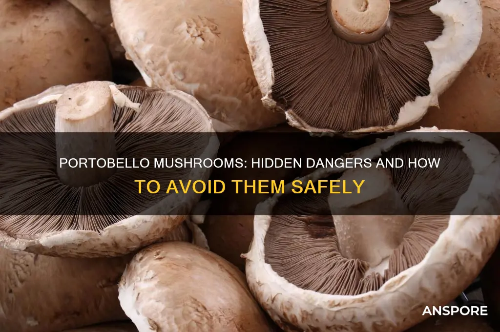 what makes potrabello mushrooms dangerous