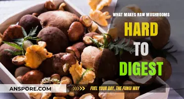 Why Raw Mushrooms Can Be Tough on Your Digestive System