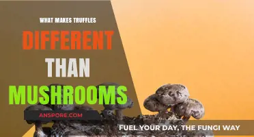 Truffles vs. Mushrooms: Unveiling the Unique Differences and Delights