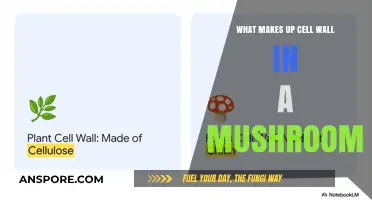 Unveiling the Composition of Mushroom Cell Walls: Key Components Explained