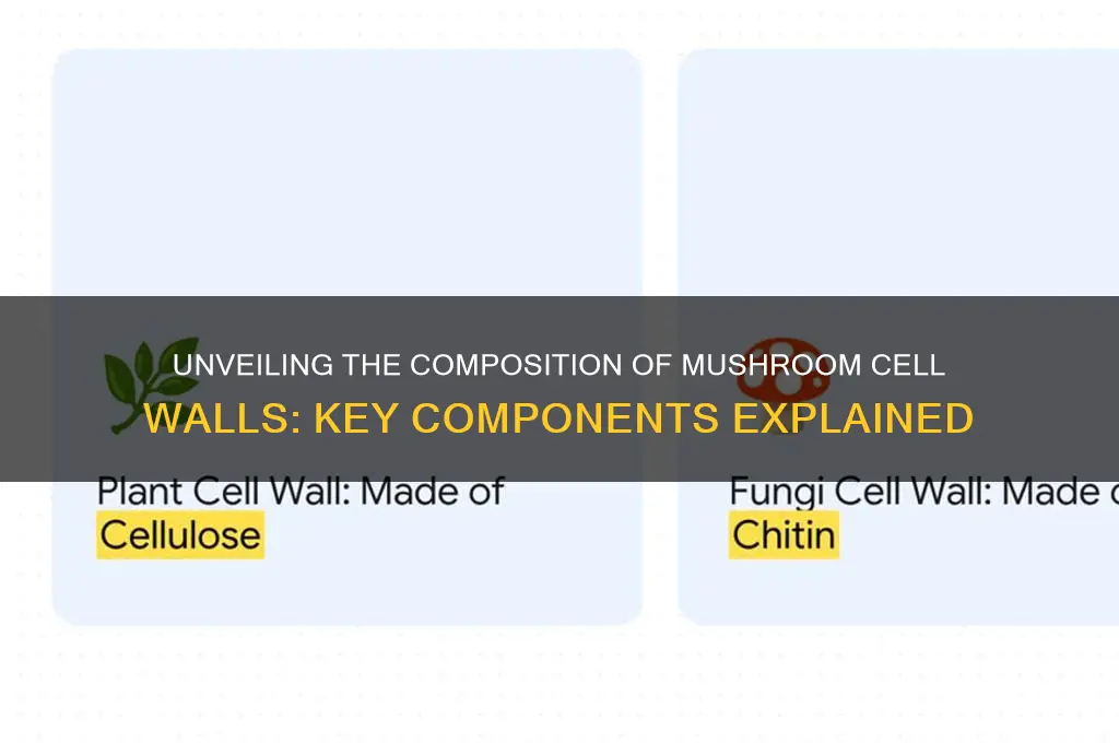 what makes up cell wall in a mushroom