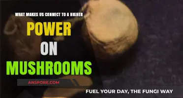 Exploring Divine Connections: How Mushrooms Unlock Spiritual Awareness