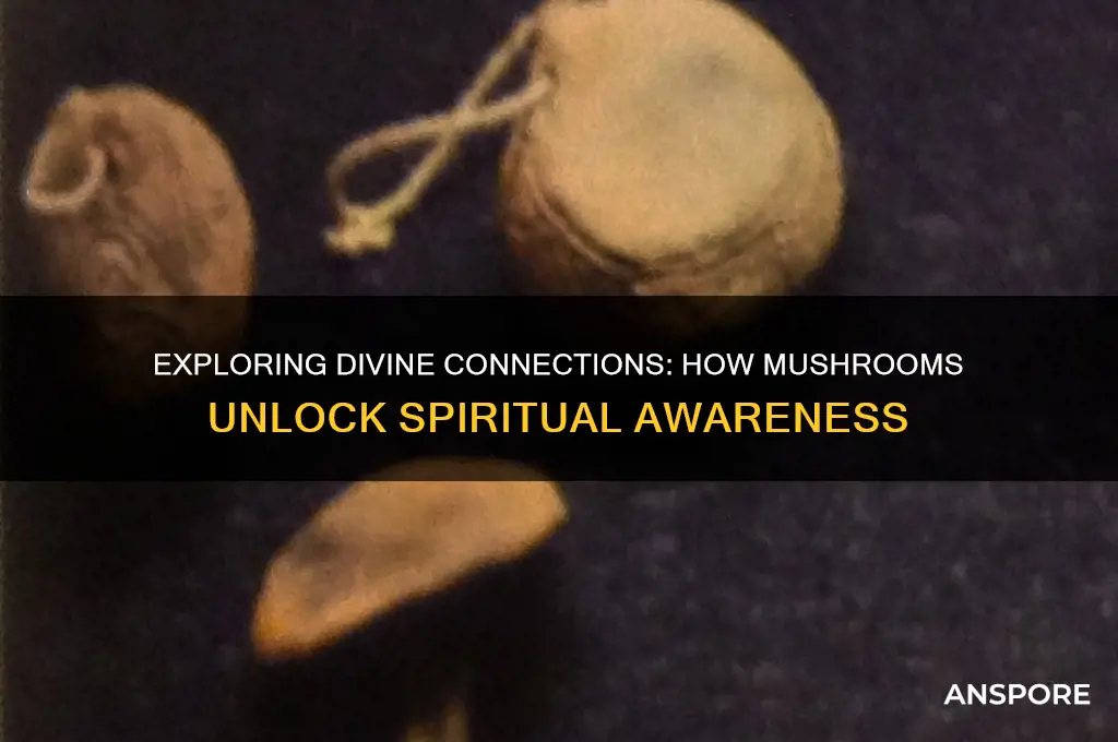 what makes us connect to a higher power on mushrooms
