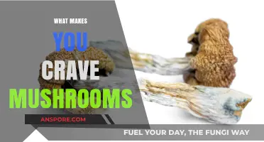 Why Do We Crave Mushrooms? Uncovering the Science Behind the Appetite