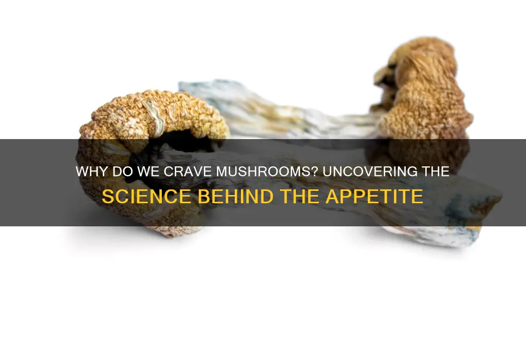 what makes you crave mushrooms