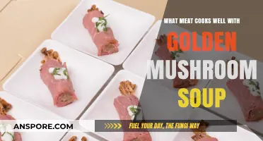 Delicious Meat Dishes Perfectly Paired with Golden Mushroom Soup