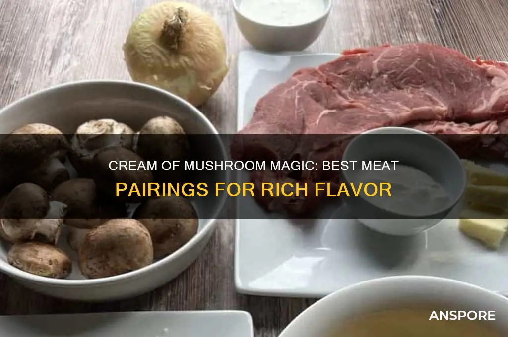 what meat goes good with cream of mushroom