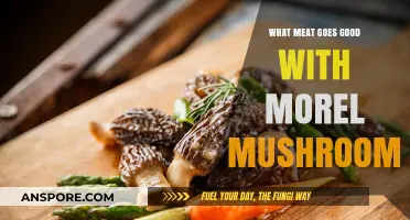 Perfect Pairings: Best Meats to Complement Morel Mushrooms in Recipes